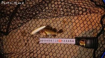 ������Х�