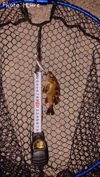 ¥¨¥¾¥á¥Ð¥ë