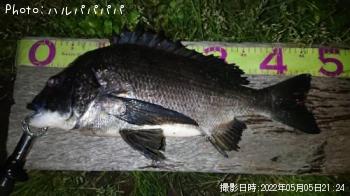 �����Х�����������