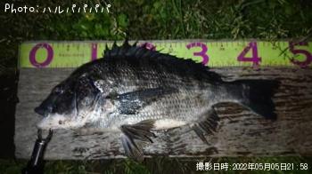 �����Х�����������