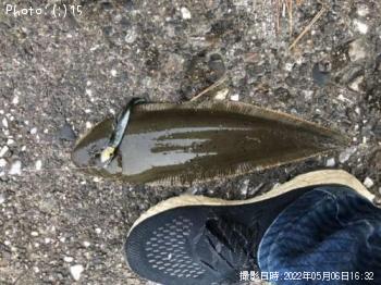 Àå¥Ó¥é¥á¡¢¥Þ¥¤¥¯¥í¥Ù¥¤¥È