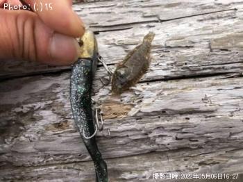 Àå¥Ó¥é¥á¡¢¥Þ¥¤¥¯¥í¥Ù¥¤¥È