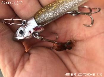 Àå¥Ó¥é¥á¡¢¥Þ¥¤¥¯¥í¥Ù¥¤¥È