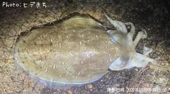 ��󥴥�����