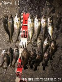 ¥¢¥¸¡¢¥á¥Ð¥ë