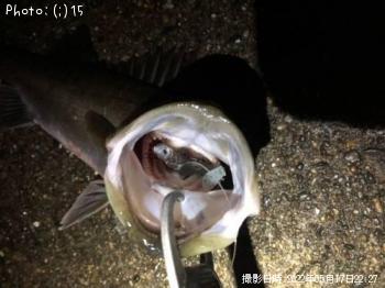 �����Х�