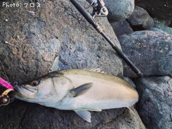 �����Х�