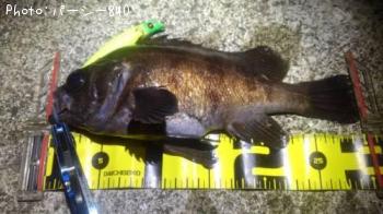 ¥á¥Ð¥ë