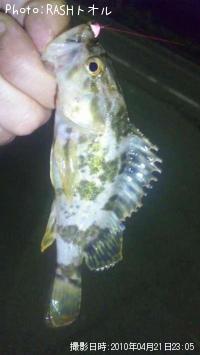 �����Υ���Х�