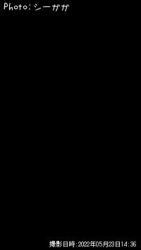 ���⡼��ޥ���