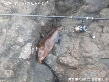 �����ʥ�