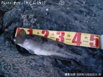 �����ʥ�