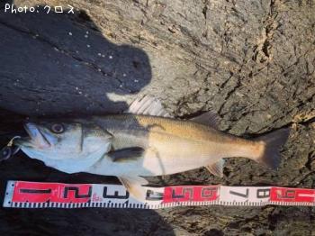 �����Х�