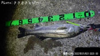 �����Х�����������