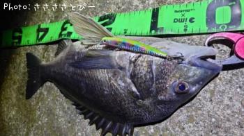 �����Х�����������