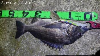 �����Х�����������