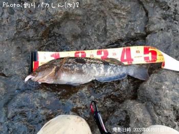 �����ʥ�