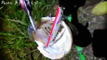 �����Х�