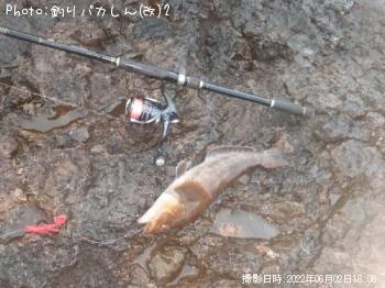 �����ʥ�