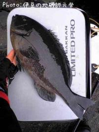 �����᥸��