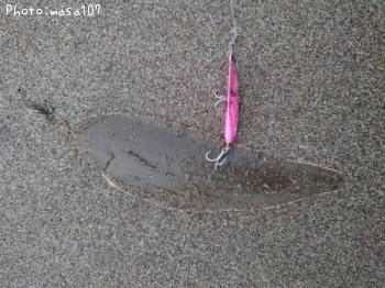 ¥·¥¿¥Ó¥é¥á