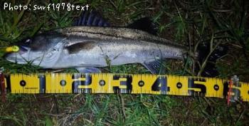 �����Х�