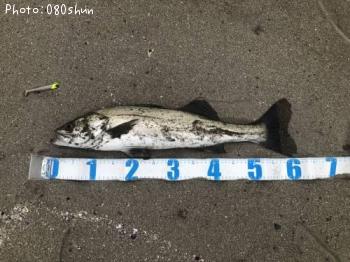 �����Х�