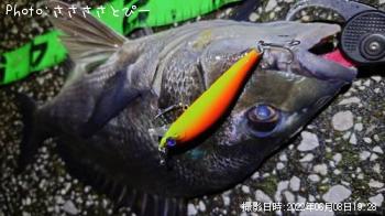 ���������������Х�