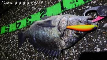 ���������������Х�