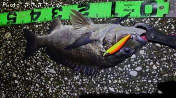 ���������������Х�