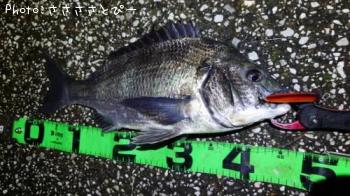 ���������������Х�