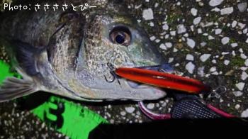 ���������������Х�