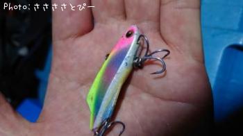 ���������������Х�