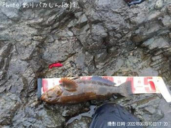 �����ʥ�