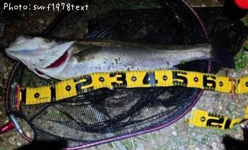 �����Х�