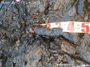 �����ʥ�