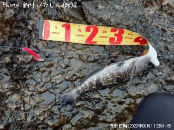 �����ʥ�