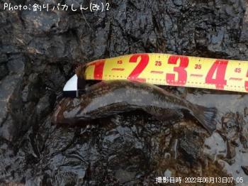 �����ʥ�