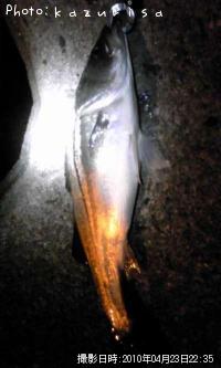 �����Х�