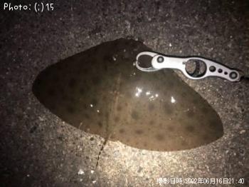 ¥Ä¥Ð¥¯¥í¥¨¥¤