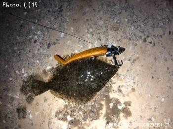 �����Х������쥤