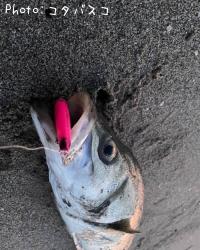 �����Х�