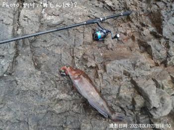 �����ʥ�