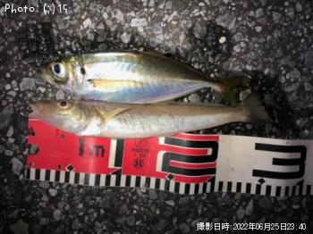 ������������������������������