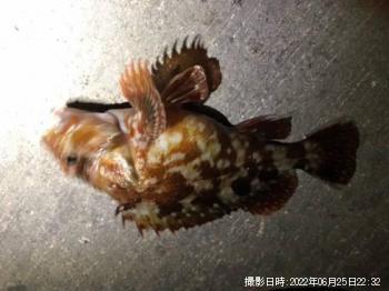 ������������������������������