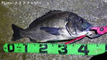 �����Х�����������