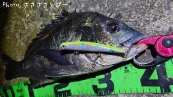 �����Х�����������