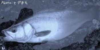 �ҥ饹����