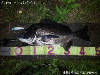 ���������������Х�