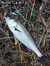 �����Х�